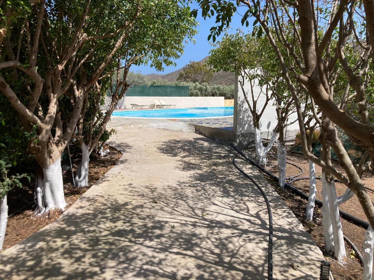 Rousolakos Pool Apartments Palekastro Eksteriør billede